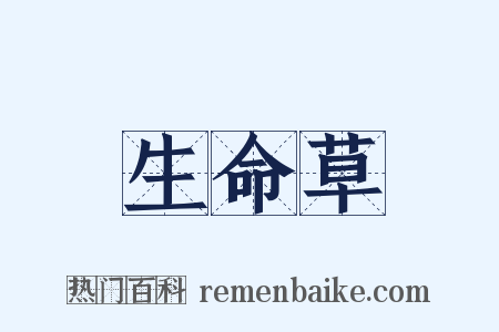 生命草是什么意思的图片